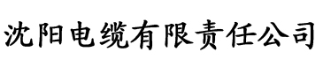 抖阴最新安装电缆厂logo